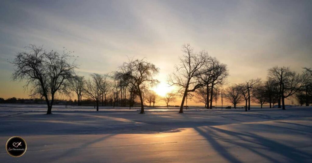 hello february quotes