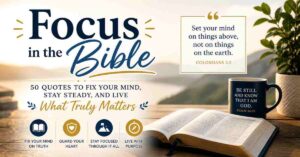Focus on the Bible